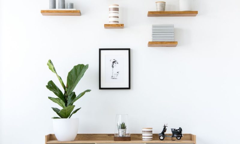 The Do’s and Don’ts of Wall Shelving: Key Things To Know